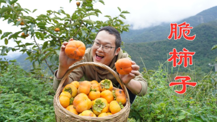 山里的脆柿子熟了，小伙摘上满满一筐，清脆香甜味道真不错！