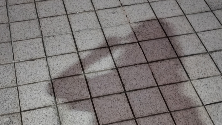 从零开始的王者上分之路！