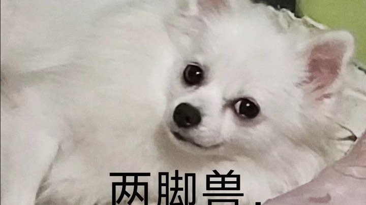 111