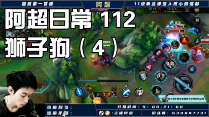 阿超日常 112 狮子狗（4）