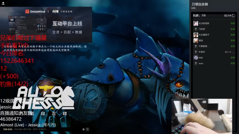 【2021-10-13 23点场】棋迷iluhr：沉浸式养小奶猫,连续直播第73天