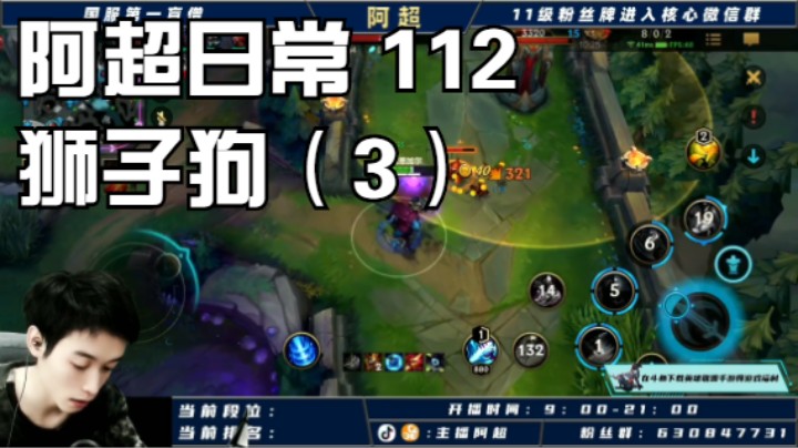 阿超日常 112 狮子狗（3）