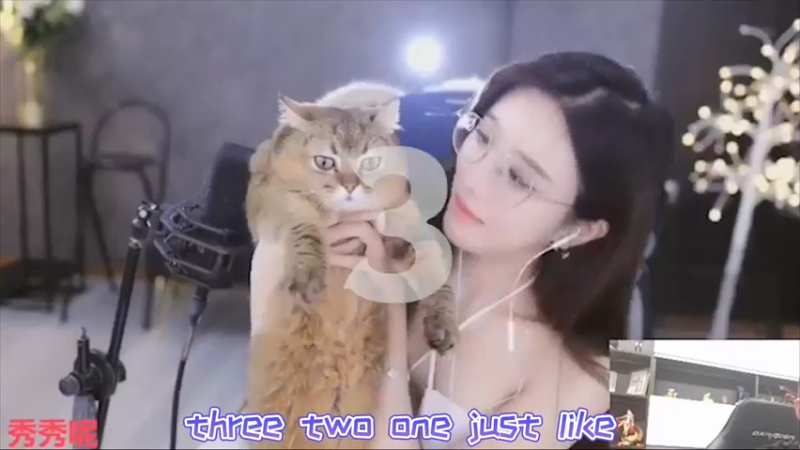 猫哥，吹的挺不错呀