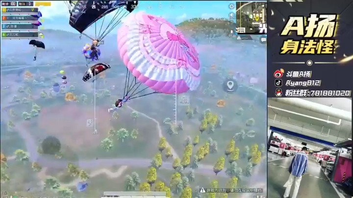 A扬丷：22杀吃鸡最后这个人有点傻呢，不打我？那你就死吧