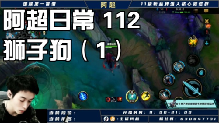 阿超日常 112 狮子狗（1）