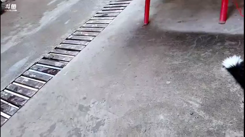 【2021-10-14 12点场】主播阿郎：欢迎成员闪电⚡加入