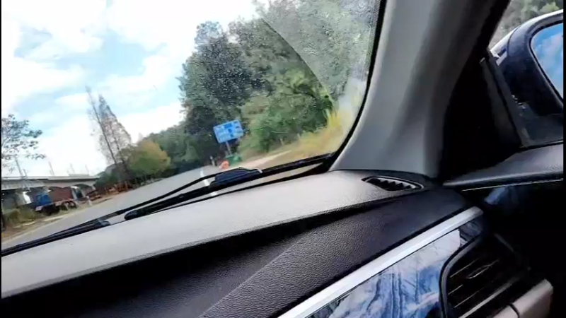 【2021-10-15 12点场】主播阿郎：荒野独居30天（给狗安个家）