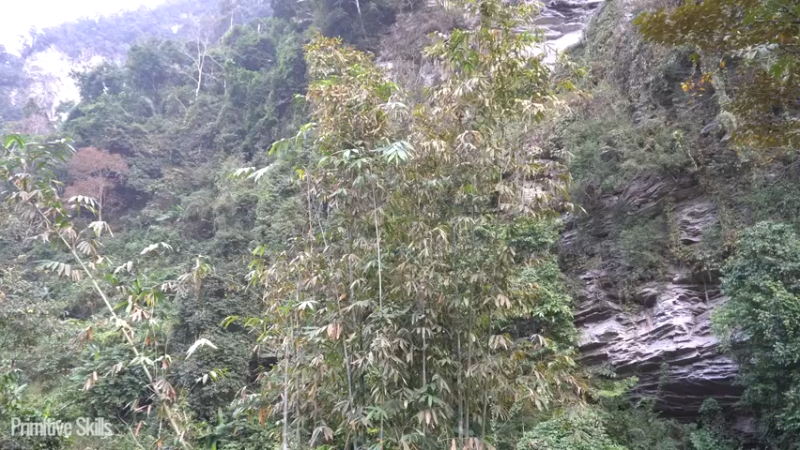 开局1石斧TT59用泥巴制作高温熔炉1《如果你一无所有 进入单人我的世界，自由荒野 离网乐园 全手工制作耕种 》《如果你一无所有 进入单人我的世界，自由荒野 离