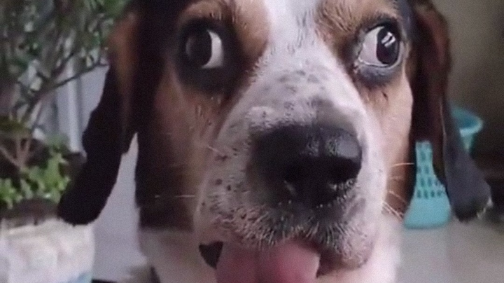 又是一天的小直播