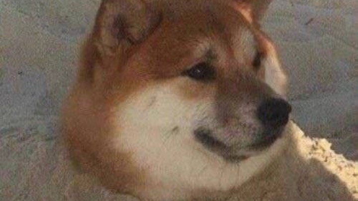 烦躁