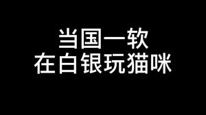 我究竟在玩vn还是猫