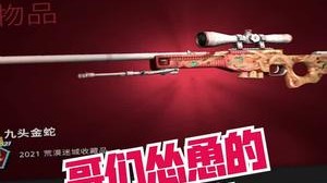 【蛇门csgo】homie炼金就是牛