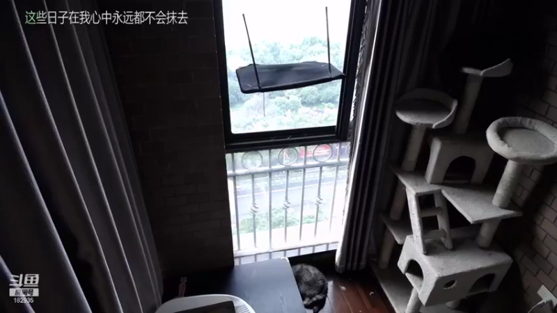 【2021-10-10 16点场】大户呀：国服排行榜1