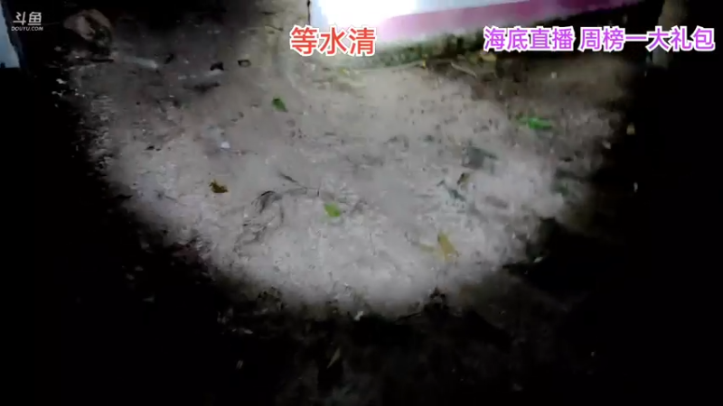 【2021-10-15 22点场】海道丶：干干干就是干 5408206
