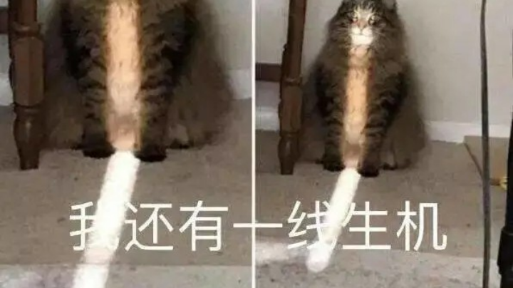 游戏日常