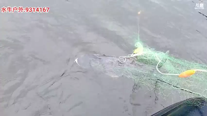 【2021-10-15 16点场】洪湖小肖：出发下一站  到地方开播  447507