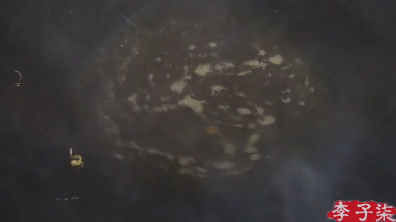 我在斗鱼看李子柒liziqi直播美食