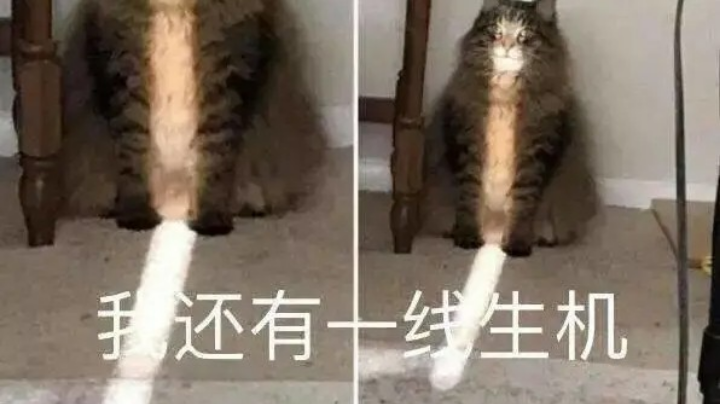 游戏日常