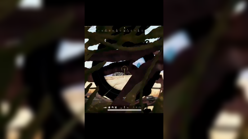 众所周知 沙漠的草是可以隐身的，除了决赛圈