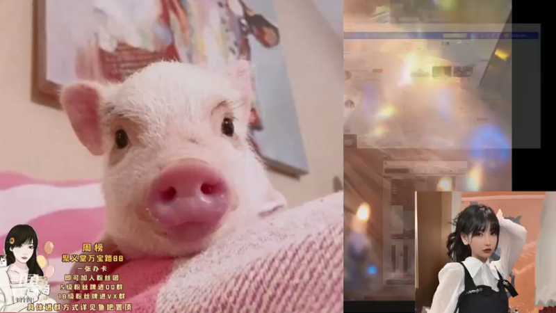 【2021-10-15 16点场】叶知秋Vanessa：叶知秋：白银双倍