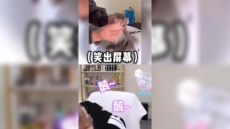 我在斗鱼看不2不叫周淑怡直播英雄联盟