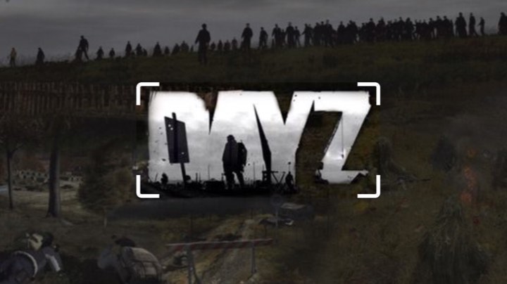 Dayz-Top2