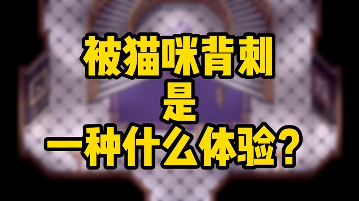 我居然会在游戏里相信一只猫！？