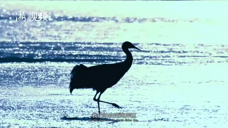 【2021-10-16 09点场】浙江日报直播室：直击收割180厘米“巨型稻”