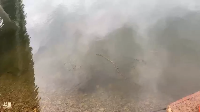 【2021-10-16 10点场】魅力生活i：美好的一天开始啦 468241