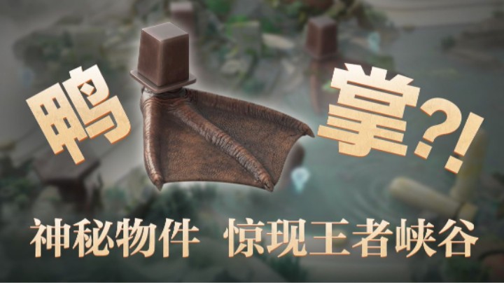 【周年庆皮肤】线索首曝！竟然是个...鸭脚？！