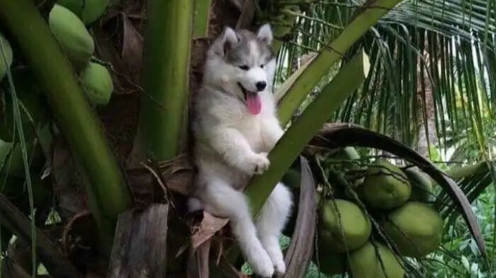 名字giegie乱杀时刻