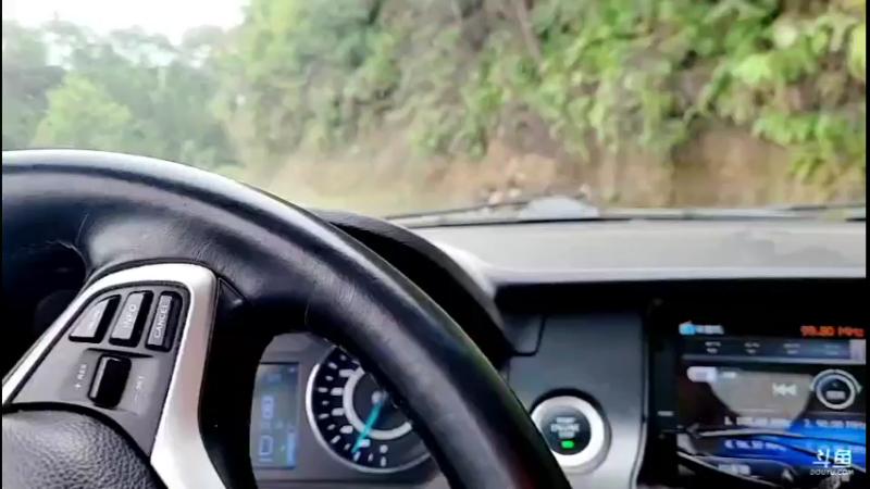 【2021-10-16 12点场】主播阿郎：荒野独居30天（给狗安个家）