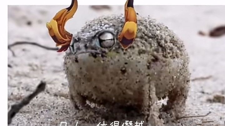 斗鱼第一贫民玩家的日常