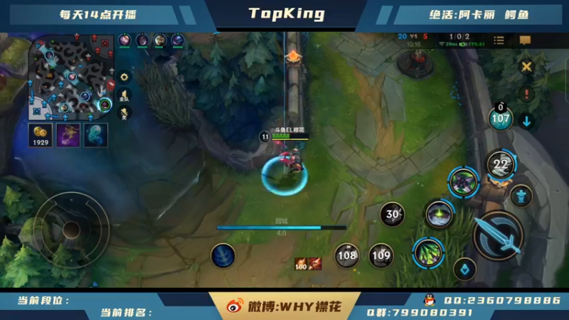 【2021-10-16 17点场】襟花啊：王者阿卡丽鳄鱼上单专场