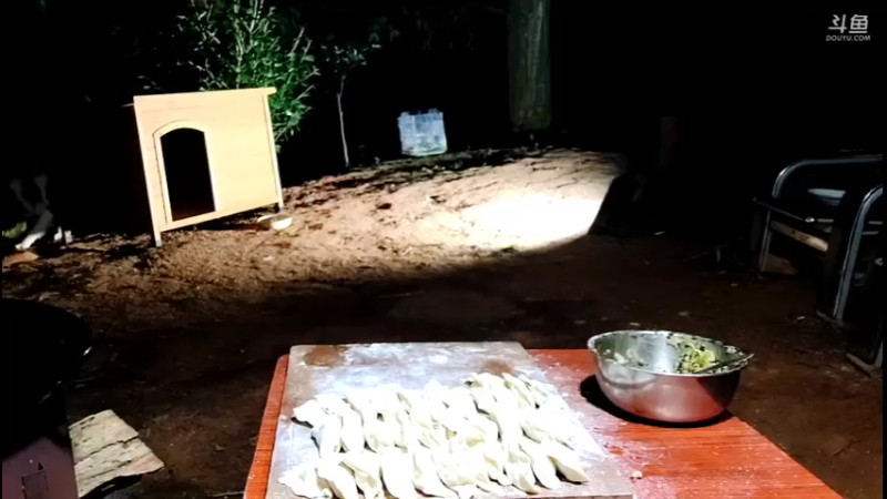 【2021-10-16 18点场】主播阿郎：荒野独居30天（给狗安个家）