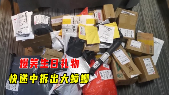 奇怪的开箱1：爆笑生日礼物！老墨遭恶搞，快递中拆出大蟑螂