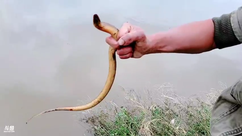 【2021-10-17 12点场】洪湖小肖：出发  回基地  447507