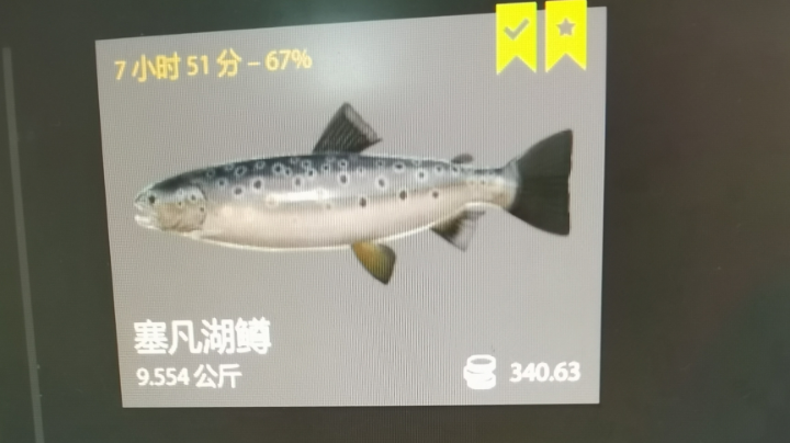 第一天拖钓，上星