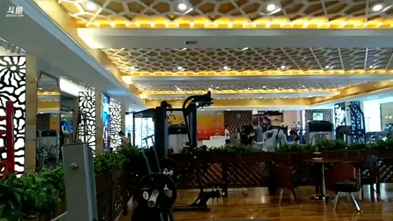 手臂训练。