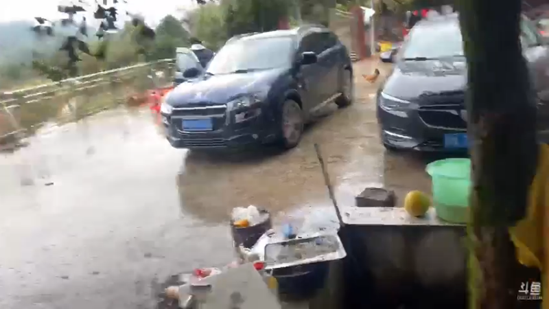 【2021-10-17 10点场】魅力生活i：新的一天又开始啦 468241