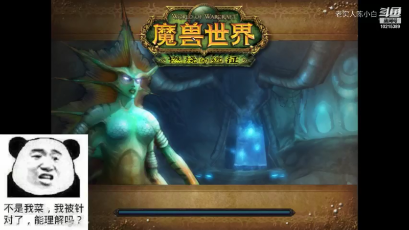 【魔兽怀旧服】碧空之歌部落，哞哞公会10/16日G团视频  01点场