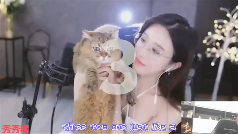 猫哥，快了·