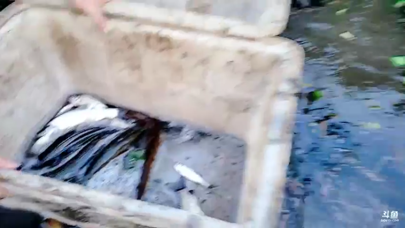 【2021-10-18 17点场】洪湖小肖：挑战每一天 精彩无极限 447507