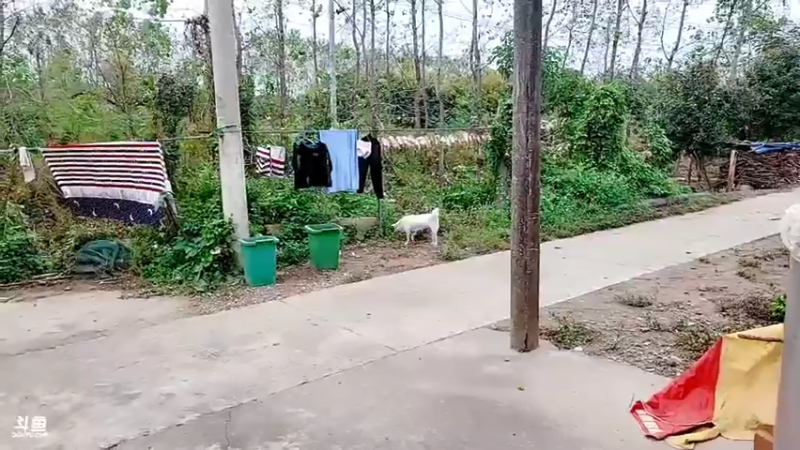 【2021-10-18 11点场】洪湖小肖：期待精彩节目  447507