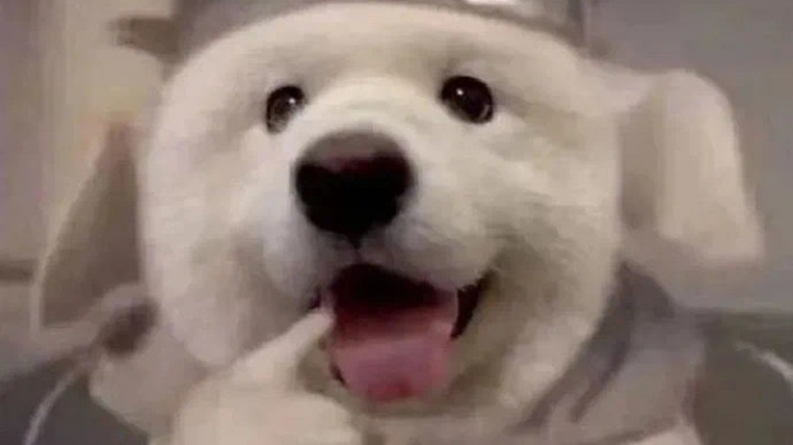 晚安