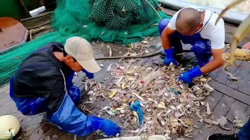 【2021-10-18 16点场】赛文柒Seven：舟山第三天-出海！