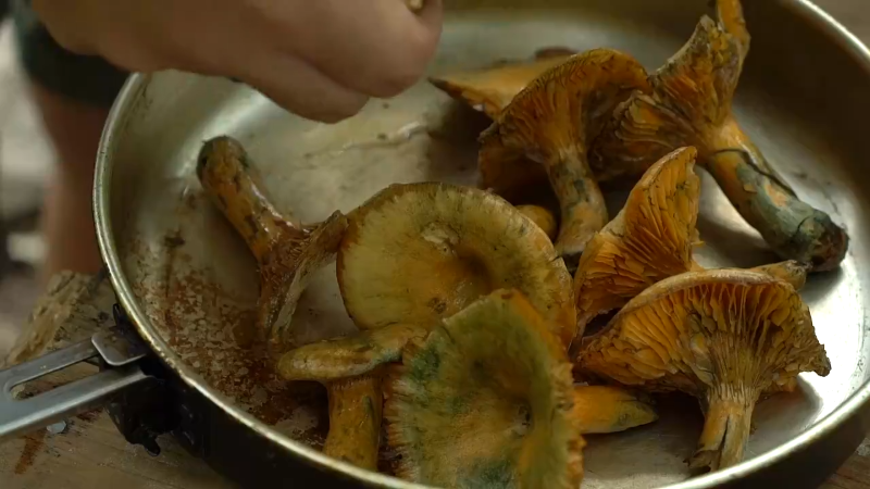 【美食】野食小哥的精彩时刻 20211018 14点场