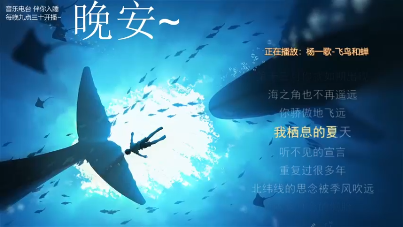 【2021-10-18 03点场】杨一歌：杨一歌：我唱的太好你别皱眉11258