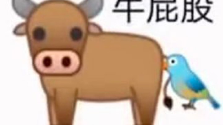 一定要开心每一天
