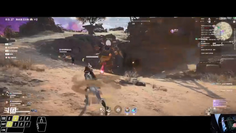 【2021-10-16 16点场】一只黄仔：包心菜又来了